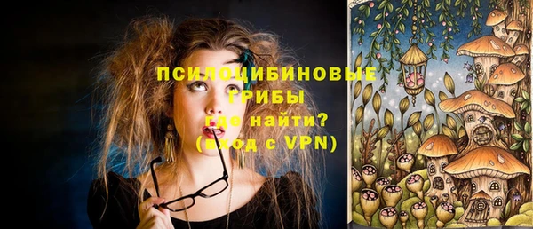 стаф Баксан