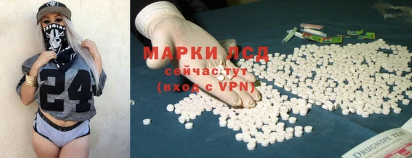 стаф Баксан