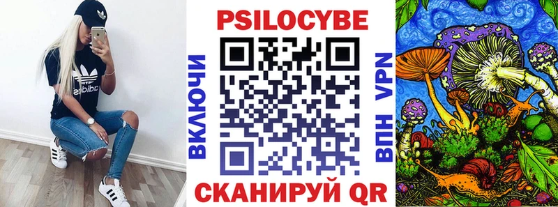 ОМГ ОМГ   Инза  Галлюциногенные грибы Psilocybe 